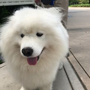 Meet your Posher, Lea